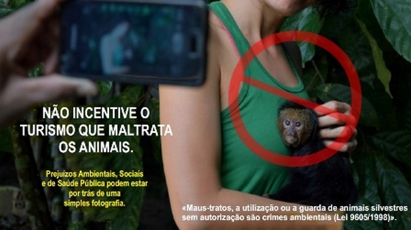 campanha2