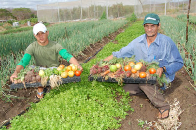 Agricultores Ceará