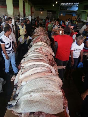 Carnes apreendidas coari2