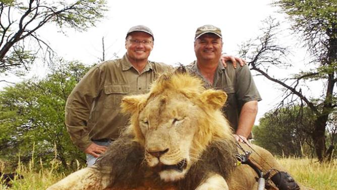 Dentista mata leão Cecil Foto Reprodução Facebook