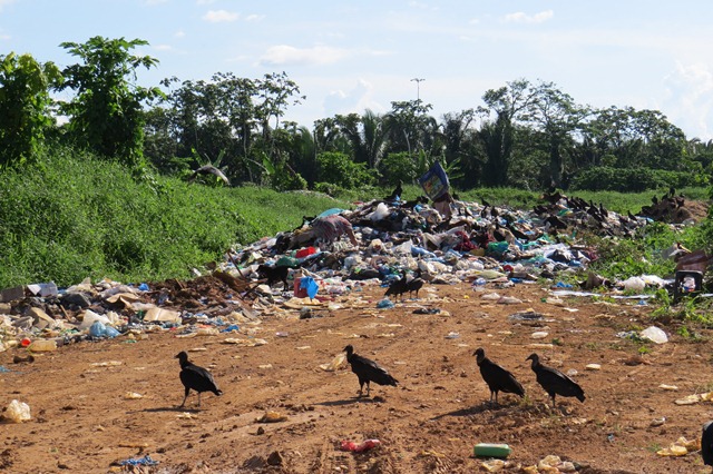O lixão de Manicoré é irregular até para o descarte de lixo doméstico (foto: Divulgação/MPF)
