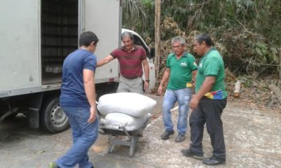 Fiscalização da Semmas flagra roubo de açaí no Parque Municipal do MinduFOTOS ASS