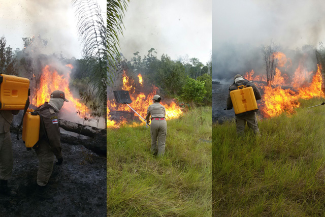 Bombeiros atuam em dos trechos da Rodovia AM-352, na Região Metropolitana de Manaus (Fotos: Divulgação)