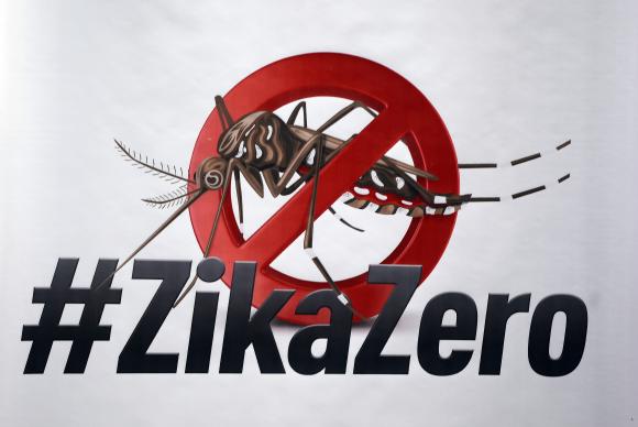 Campanha vai mobilizar famílias no combate ao mosquito transmissor do Zika, que também é vetor da dengue e da chikungunyaElza FiúzaAgência Brasil