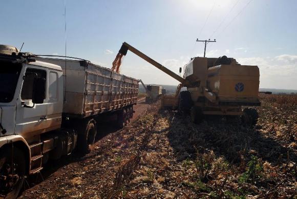 lavoura A plantação de soja deve crescer 3,6% na safra 20152016Valter CampanatoAgência Brasil