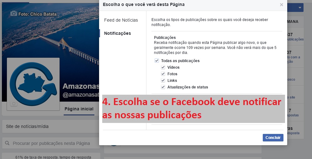 Passo a Passo 4