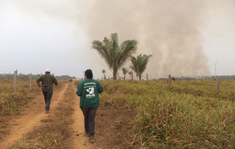 Focos de queimadas aumentaram com maior incidência em cidades do Sul do Amazonas, como Apuí (Foto: Ipaam/Divulgação)
