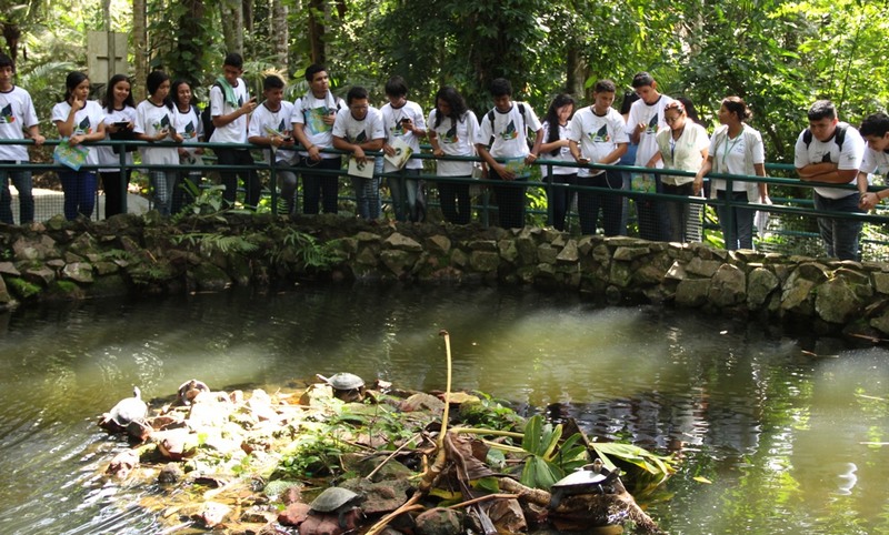 Bosque da Ciência do Inpa é atração turística e também centro de pesquisa, em Manaus (Foto: Divulgação)