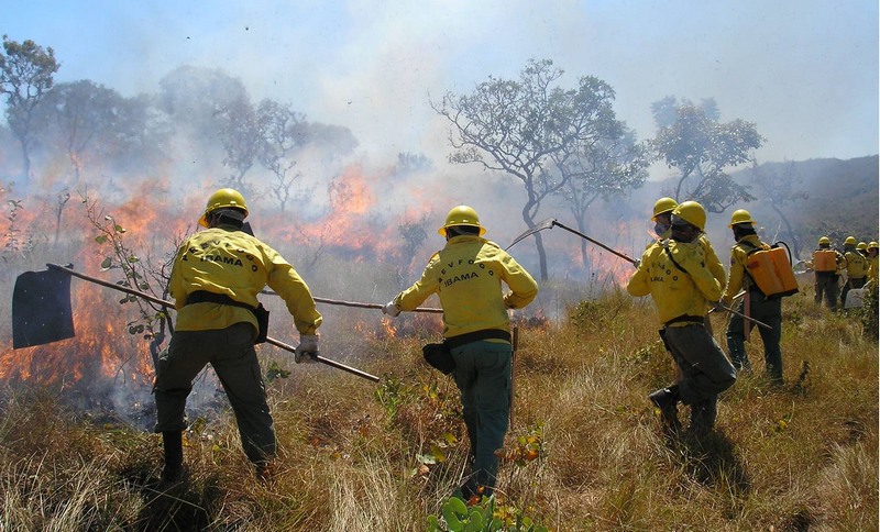 Brigadistas foram treinados pelo Corpo de Bombeiros para combates a incêndios (Foto: Ibama/Divulgação)