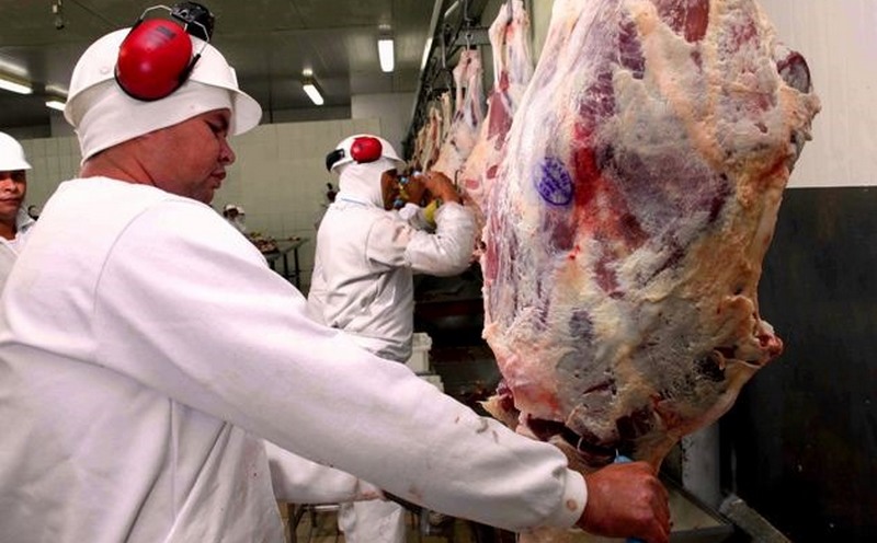 Da criação do gado ao corte final, a carne halal segue critérios específicos para muçulmanos (Foto: Divulgação)