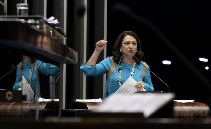 Kátia Abreu diz que auxílio a parlamentares é diferenciado (Foto: Wendel Lopes/PMDB)
