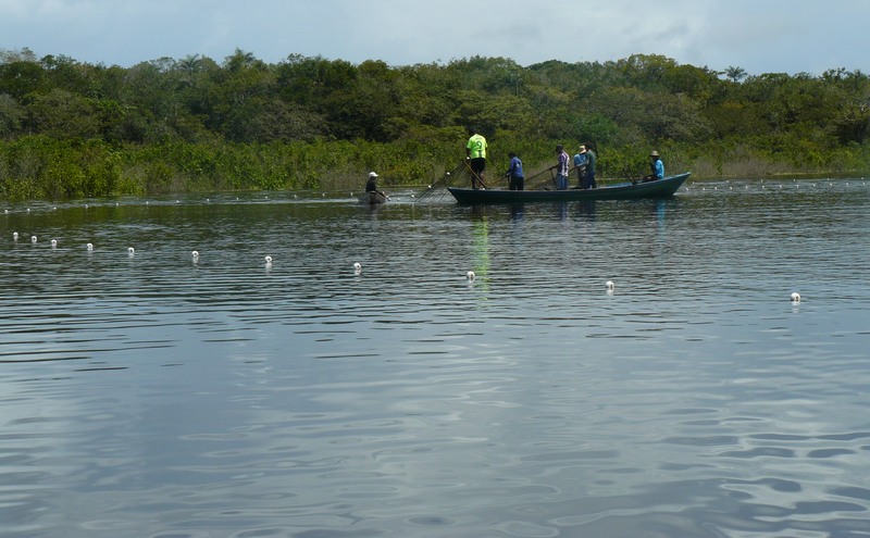 Defeso pesca (Foto: Ibama/Divulgação)
