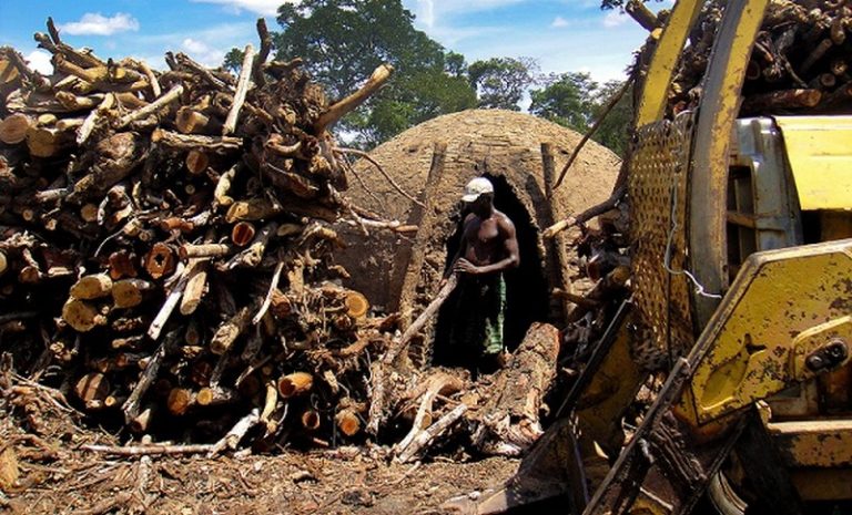 Amazonas Atual Crise Pode Levar à Pobreza 36 Milhões De Brasileiros 