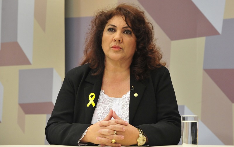 Christiane Yared (Foto: Luís Macedo/Agência Câmara)