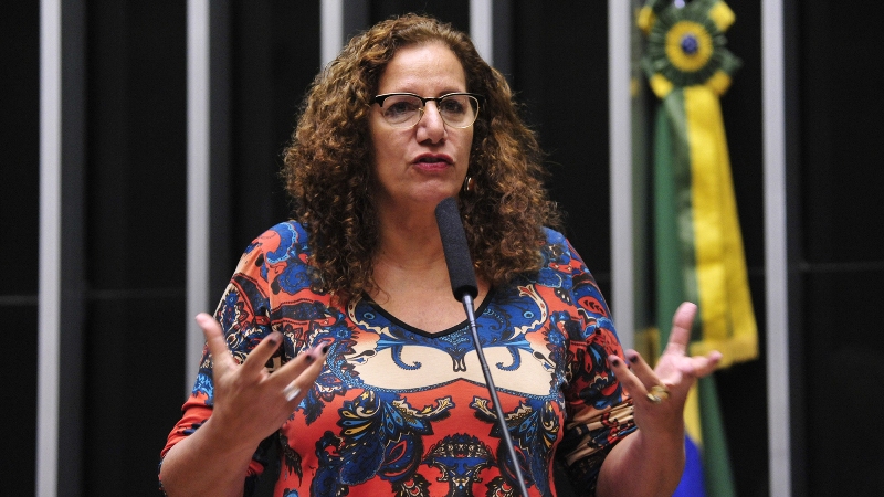 Jandira Feghali (Foto: Luís Macedo/Ag. Câmara)