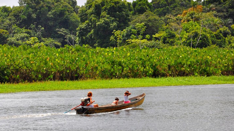 (Foto: Governo do Pará/Divulgação)