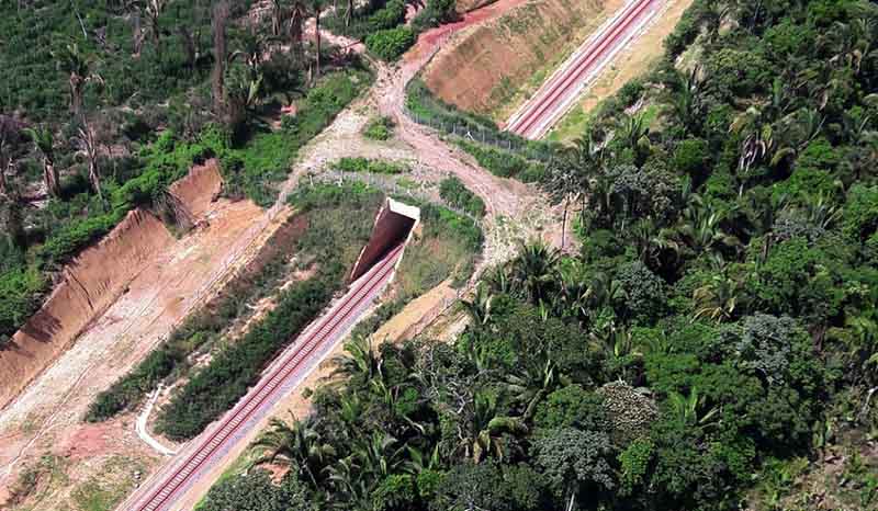 Estrada de ferro será um corredor entre Mato Grosso e portos na Amazônia para exportação de grãos (Foto: Ibama/Divulgação)