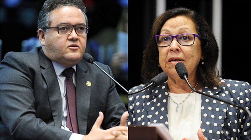 Como Rodrigo Rocha não se sentia à vontade de votar contra o governo, a senadora Lídice da Mata assumirá a vaga (Foto: Agência Senado)