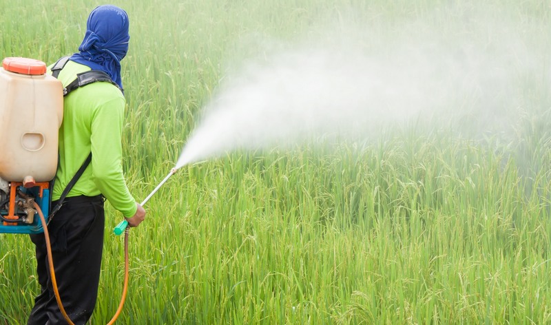 Aplicação de agrotóxicos depende da liberação de produtos químicos pelo governo (Foto: Embrapa/Divulgação)