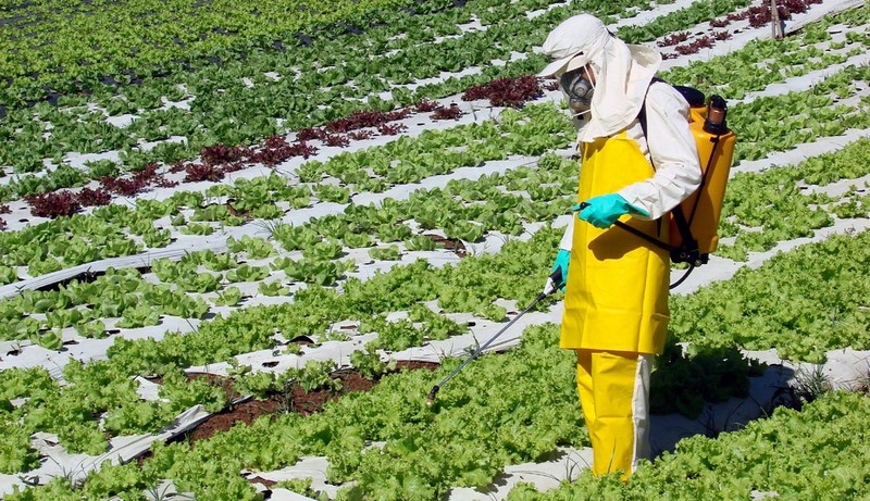 Uso de agrotóxico na produção de alimentos é uma das causas de contaminação e mortes (Foto: Divulgação)