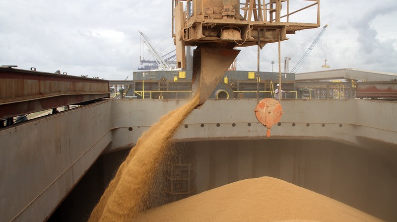 Soja domina as exportações de grãos no Porto de Paranaguá (Foto: Fabio Scremin/APPA)