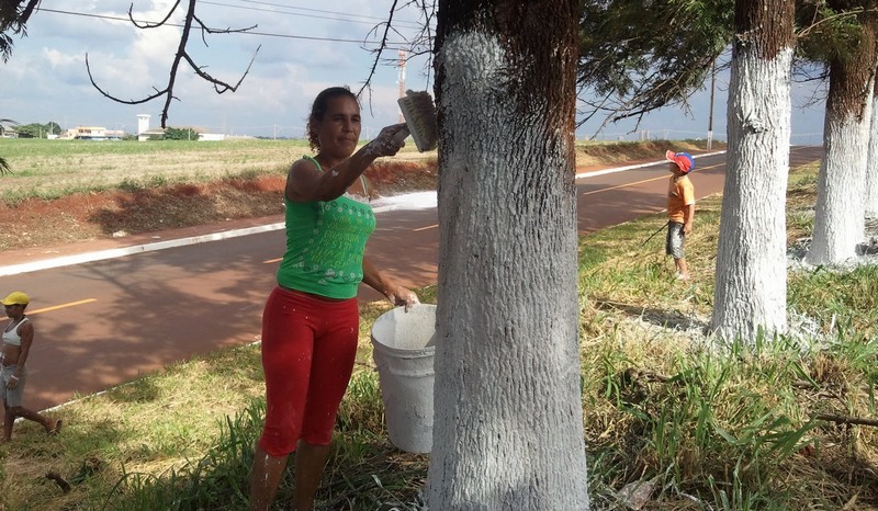 Mulher pinta árvore em atividade comum para decorar plantas nas cidades (Foto: Divulgação)
