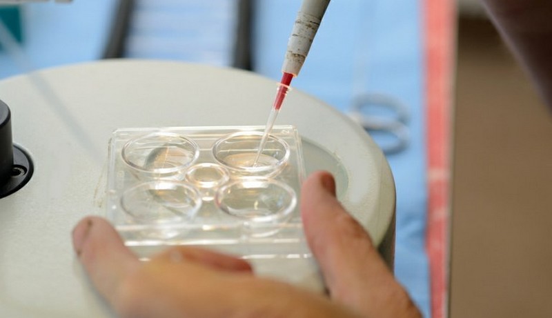 Anvisa libera medicamento que facilita a reprodução assistida (Foto: ABr/Agência Brasil)