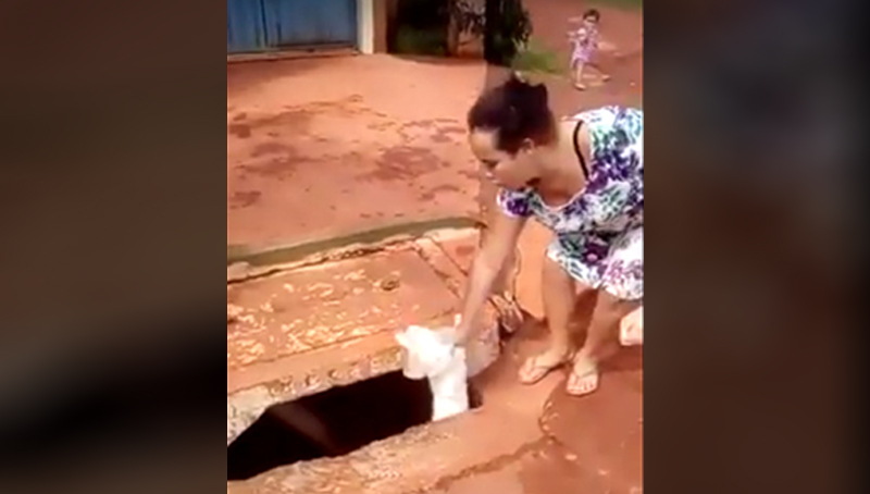 Vídeo divulgado em rede social mostra mulher jogando cachorro no bueiro (Foto: YouTube/Reprodução)