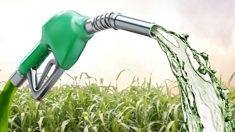 Biocombustível teve alta em 18 Estados. Amazonas registrou o índice mais alto de reajuste (Foto: Reprodução)
