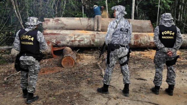 Desmatamento na Amazônia