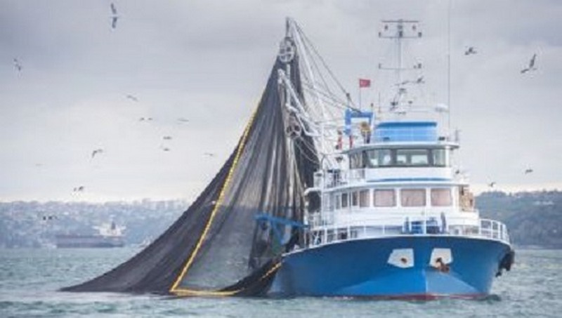 Governo brasileiro diz que até maio, as primeiras embarcações de pesca poderão exportar o pescado (Foto: Ibrahim Taylan/Ministério da Agricultura)