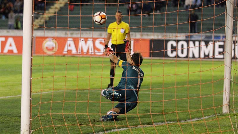 Goleiro Martin Silva defendeu três coranças de pênaltis e salvou o Vasco na Copa Libertadores (Foto: Paulo Fernandes/Vasco)