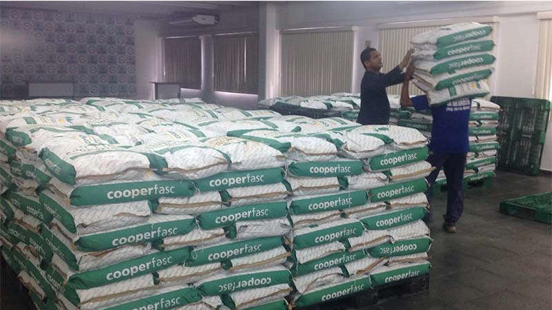 Sete toneladas e meio de sementes já foram distribuídas e outras 14,9 toneladas serão doadas gradativamente aos produtores (Foto: Sepror/Divulgação)
