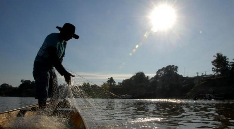 Seguro-Defeso beneficia pescadores artesanais em todo o Amazonas (Foto: INSS/Atual)