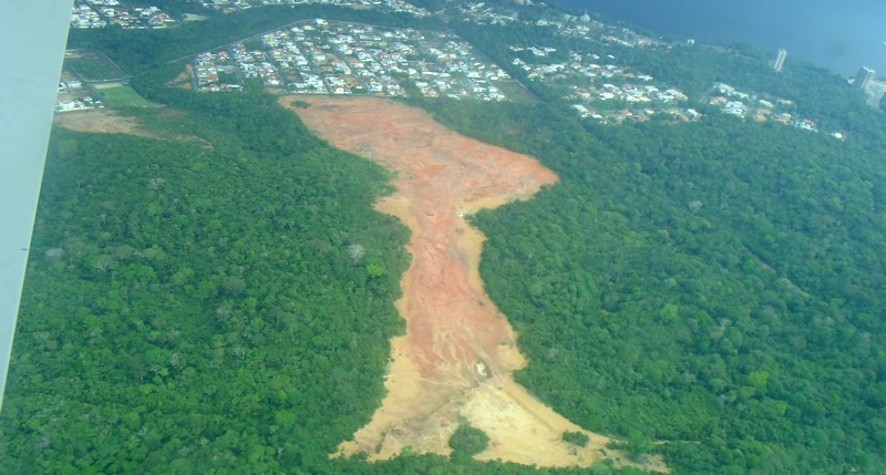 Desmatamento em área urbana cresceu em Manaus nos últimos 15 anos, revela estudo (Foto: Divulgação)