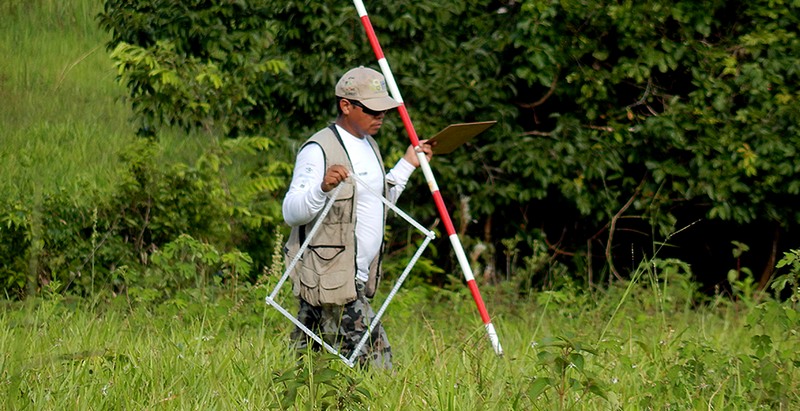 Técnicos coletam dados sobre estado de conservação da floresta (Foto: IFN/Divulgação)
