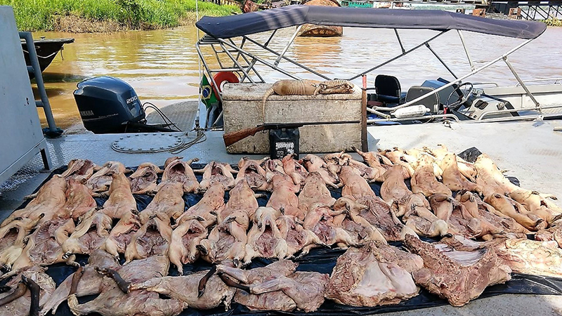 Carne de caça estava em barco de peruanos atracado em Tabatinga (Foto: Divulgação / PF)