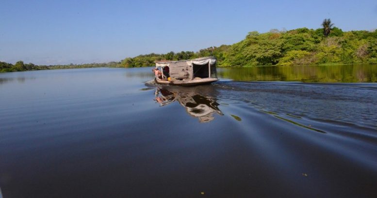 Empresas que oferecem serviço de turismo ecológico devem ter licença ambiental e pagar impostos (Foto: Chico Batata/TJAM)