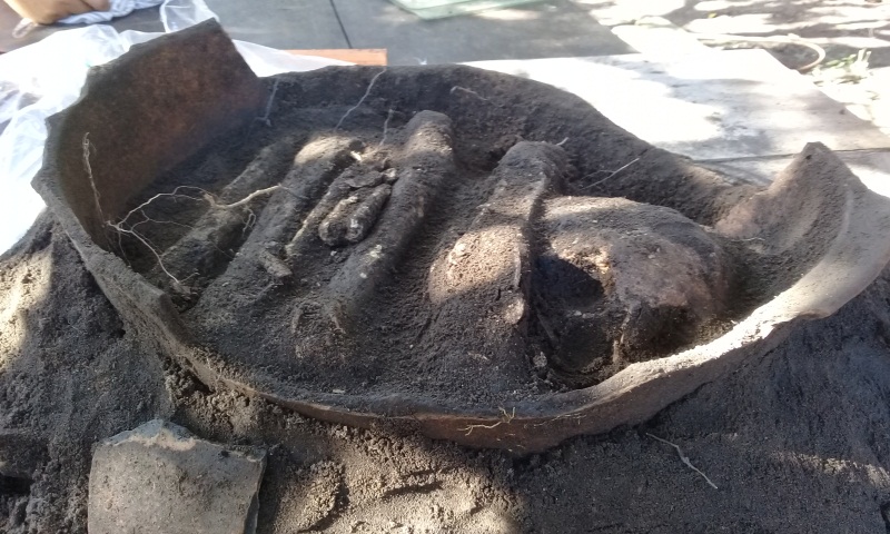 Urna funerária indígena, Parintins