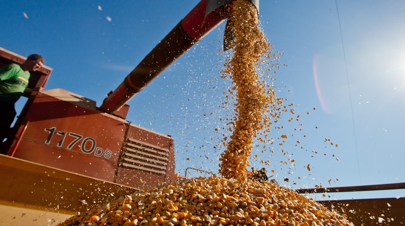 Safra de grãos é a segunda melhor na história da agricultura no País (Foto: Pedro Revillion/Palácio Piratini/Fotos Públicas)