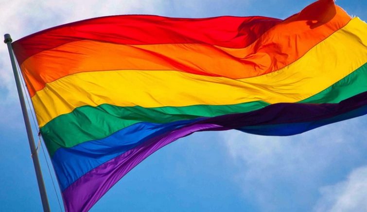Bandeira LBGT é pela defesa de maior atendimento aos gays na rede pública de saúde (Foto: Divulgação)