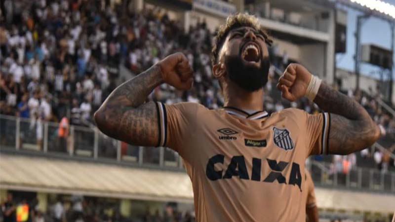 Gabriel marcou um dos gols do Santos na vitória sonbre o Fluminense (Foto: Ivan Storti/Santos FC)