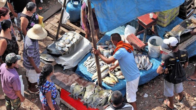 Vendedores de peixe negociam produto sem a higiene necessária na orla de Educandos: vida que segue (Foto: Valter Calheiros)