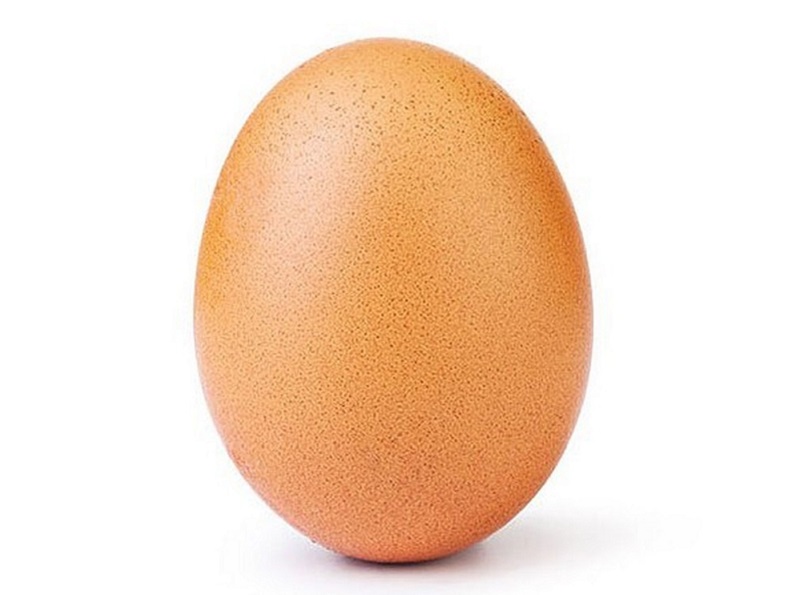egg ovo
