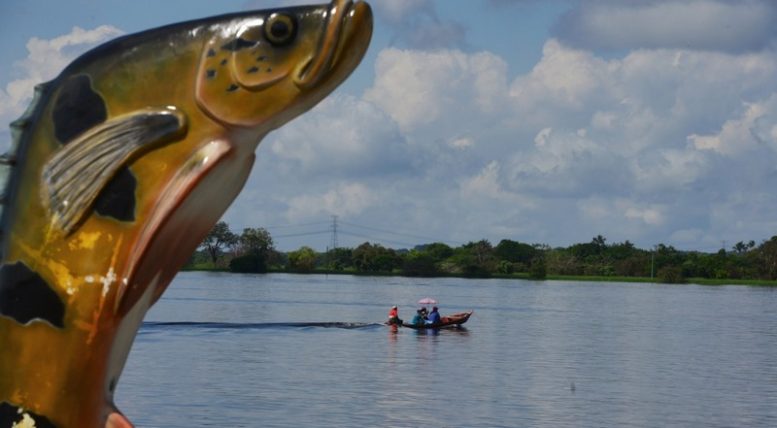 Passeio nos rios e pesca esportiva do tucunaré são os maiores interesses dos espanhóis no Amazonas (Foto: Clóvis Miranda/Secom)