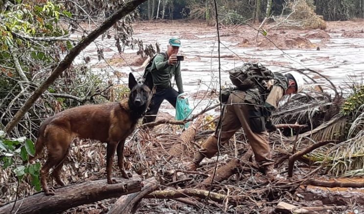 Voluntários amazonenses e cadela Hera fazem buscas em Brumadinho (Foto: Divulgação)