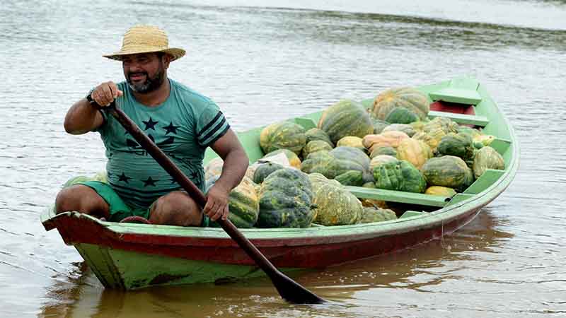 Produtor escoa jerimuns em canoa no Rio Negro (Foto: Claudio Heitor/Secom)