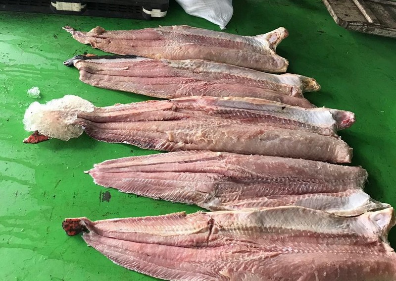 Aumento de denúncias favoreceu apreensão de pescado (Foto: BAPM-AM/Divulgação)