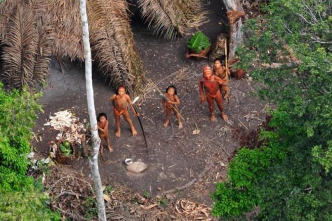 Índios isolados no Amazonas (Foto: Gleison Miranda/Funai/Divulgação)