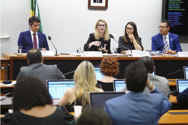Advogada Maria Claudia Bucchianeri Pinheiro (centro) criticou o projeto (Foto: Pablo Valadares/Agência Câmara)